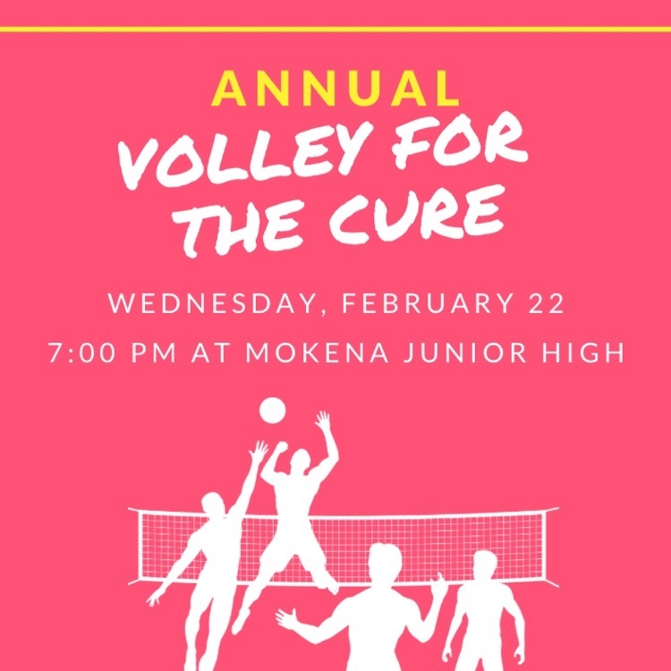 volley for the cure flyer 
