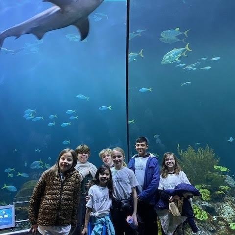 students pose in front of tank at shedd aquarium 
